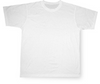 Shirt basic wit met foto/ afbeelding